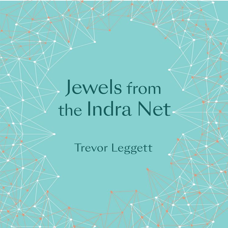 Produktbild: Jewels From The Indra Net