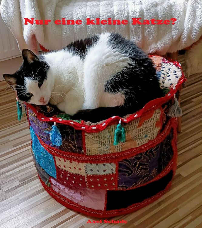 Produktbild: Nur eine kleine Katze?