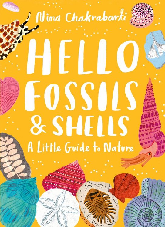 Produktbild: Little Guides to Nature: Hello Fossils and Shells