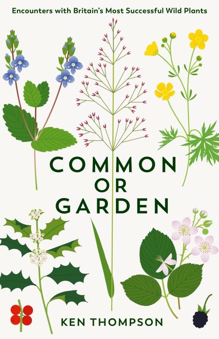 Produktbild: Common or Garden