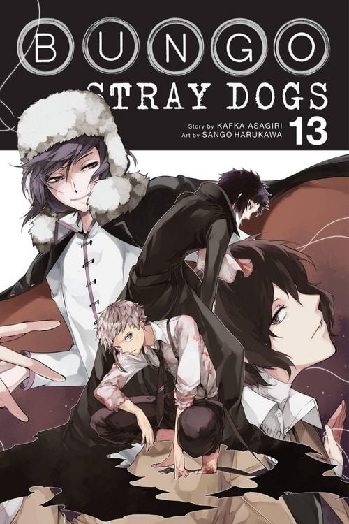 Produktbild: Bungo Stray Dogs, Vol. 13