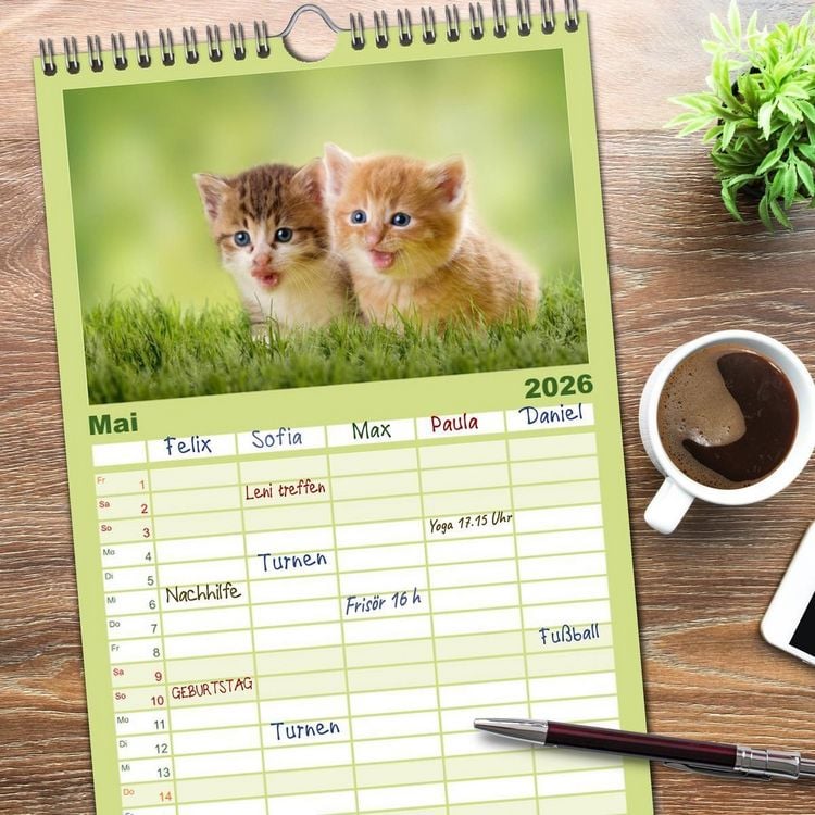 Produktbild: Familienplaner 2026 - K&auml;tzchen 2026 mit 5 Spalten (Wandkalender, 21 x 45 cm) CALVENDO