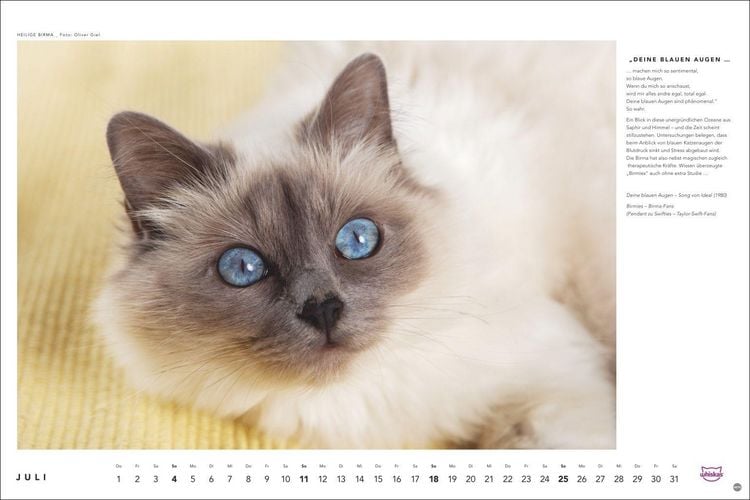 Produktbild: Whiskas Katzenkalender 2027
