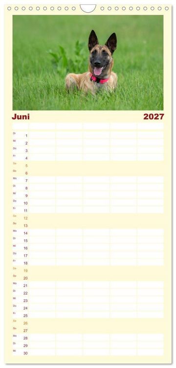 Produktbild: Familienplaner 2027 - Traumhund Malinois mit 5 Spalten (Wandkalender, 21 x 45 cm) CALVENDO