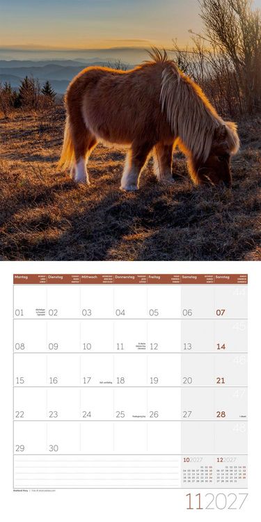 Produktbild: Pferde Kalender 2027 - 30x30 - Art12