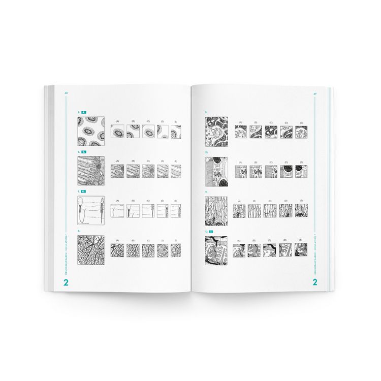 Produktbild: MedGurus - TMS &Uuml;bungsbuch Muster zuordnen