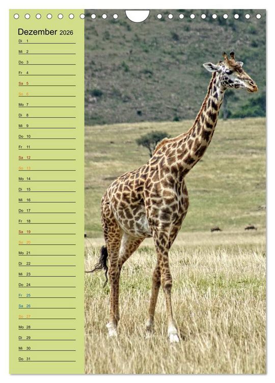 Produktbild: Giraffen. Voller Stolz und Grazie (Wandkalender 2026 DIN A4 hoch), CALVENDO Monatskalender