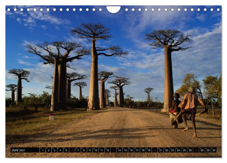 Produktbild: Madagaskar - Impressionen von Rolf Dietz (Wandkalender 2027 DIN A4 quer), CALVENDO Monatskalender
