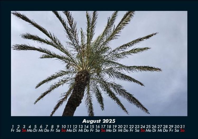 Produktbild: Palmentraum 2025 Fotokalender DIN A5