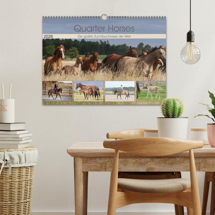 Produktbild: Quarter Horses - Die gr&ouml;&szlig;te Zuchtbuchrasse der Welt (Wandkalender 2026 DIN A3 quer), CALVENDO Monatskalender