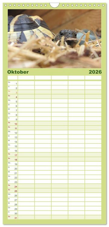 Produktbild: Familienplaner 2026 - Landschildkr&ouml;ten mit 5 Spalten (Wandkalender, 21 x 45 cm) CALVENDO