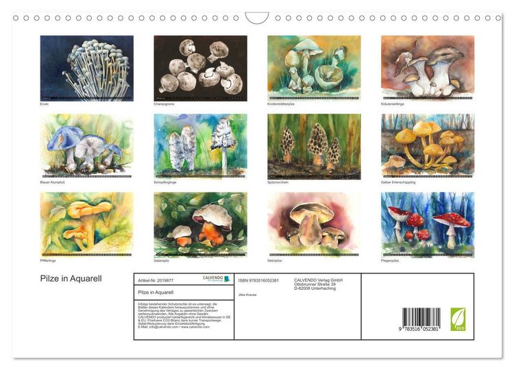 Produktbild: Pilze in Aquarell (Wandkalender 2026 DIN A3 quer), CALVENDO Monatskalender