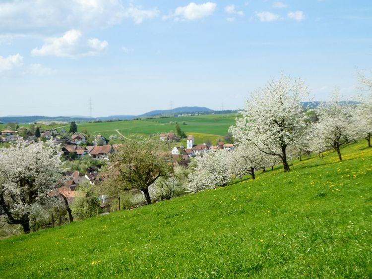 Produktbild: Jura