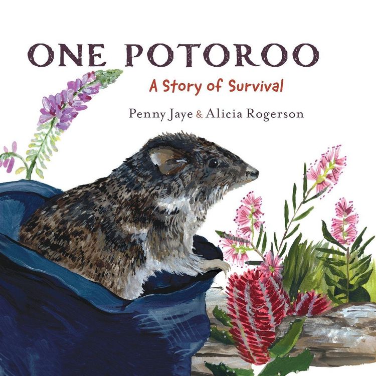 Produktbild: One Potoroo