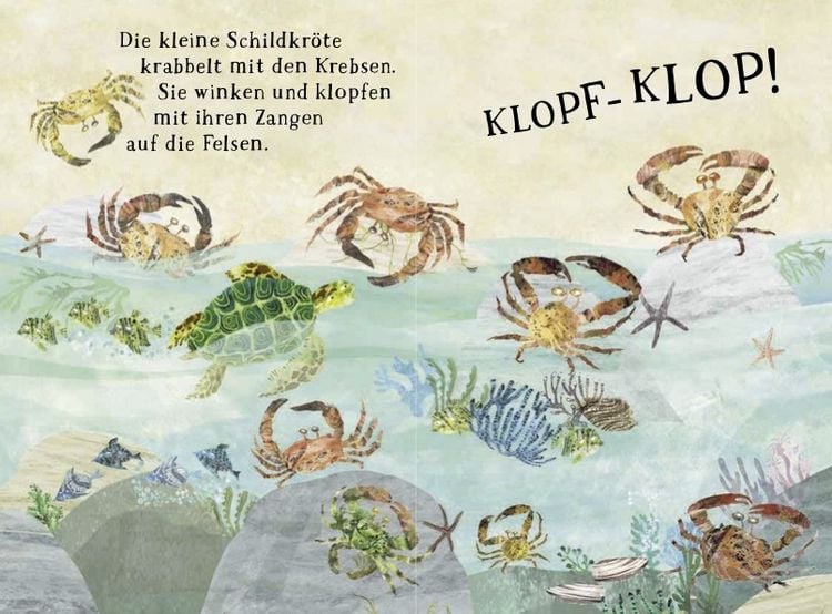 Produktbild: Kleine Schildkr&ouml;te und das blaue Meer