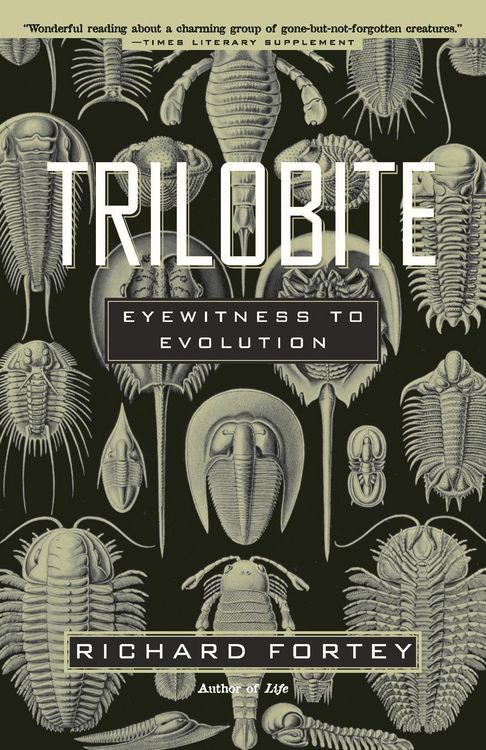 Produktbild: Trilobite