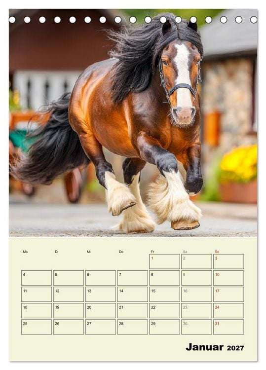 Produktbild: Shire Horse Magie. Englands sanfte Giganten (Tischkalender 2027 DIN A5 hoch), CALVENDO Monatskalender