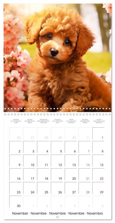 Produktbild: Cute PUPPY PERSONALITIES (Wall Calendar 2026 12 &times; 12 Inch) CALVENDO 12 Month Wall Calendar
