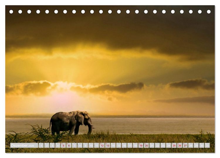 Produktbild: Namibia &ndash; Die Tierwelt vom Caprivi bis Etosha (Tischkalender 2026 DIN A5 quer), CALVENDO Monatskalender