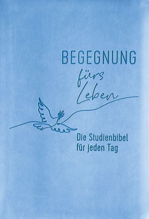 Bild vom Artikel Begegnung fürs Leben, Kunstleder vom Autor 