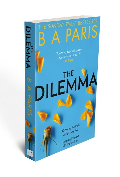 Produktbild: Dilemma Pb