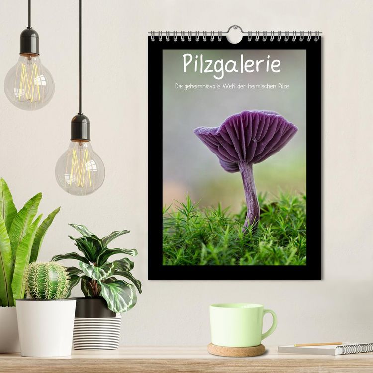 Produktbild: Pilzgalerie - Die geheimnisvolle Welt der heimischen Pilze (Wandkalender 2026 DIN A4 hoch), CALVENDO Monatskalender