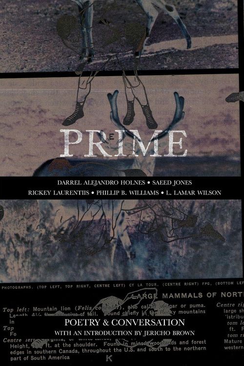 Produktbild: Prime