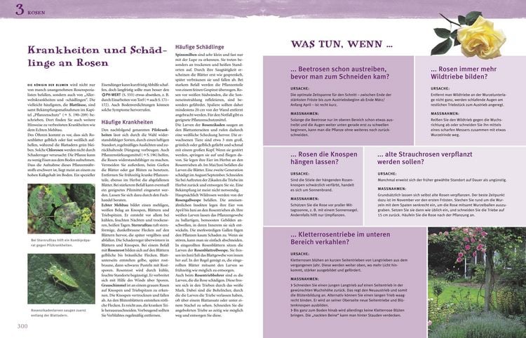 Produktbild: Das gro&szlig;e GU Praxishandbuch Garten