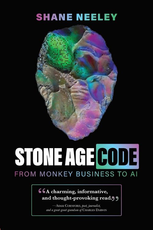 Produktbild: Stone Age Code