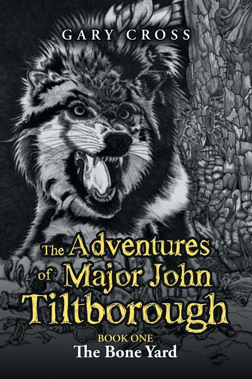 Produktbild: The Adventures of Major John Tiltborough