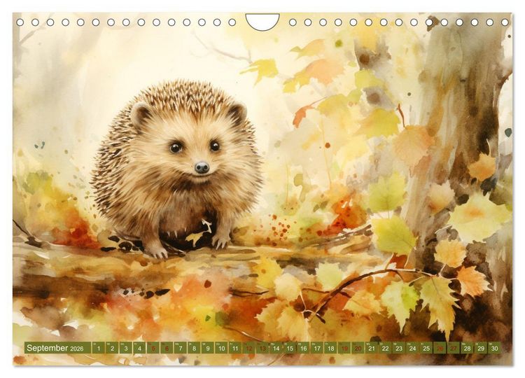 Produktbild: Zw&ouml;lf Monate im Wald (Wandkalender 2026 DIN A4 quer), CALVENDO Monatskalender