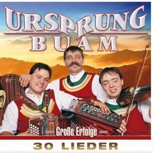 Produktbild: Gro&aacute;e Erfolge-30 Lieder