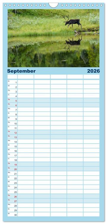Produktbild: Familienplaner 2026 - Magisches Nordland. Eine Reise in das Herz Skandinaviens mit 5 Spalten (Wandkalender, 21 x 45 cm) CALVENDO