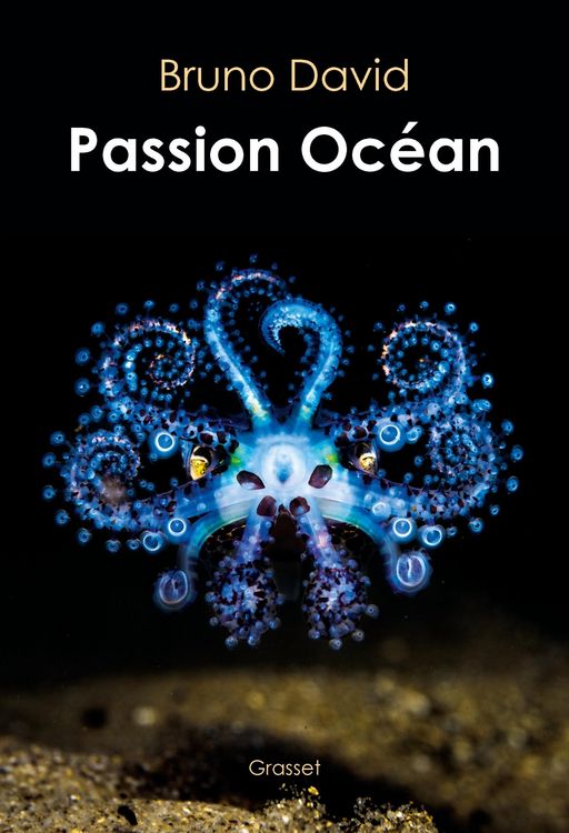 Produktbild: Passion oc&eacute;an