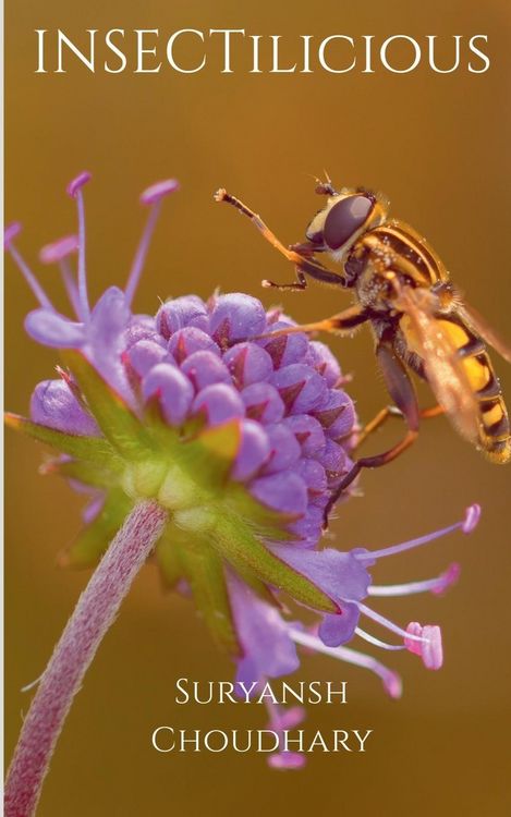 Produktbild: INSECTilicious