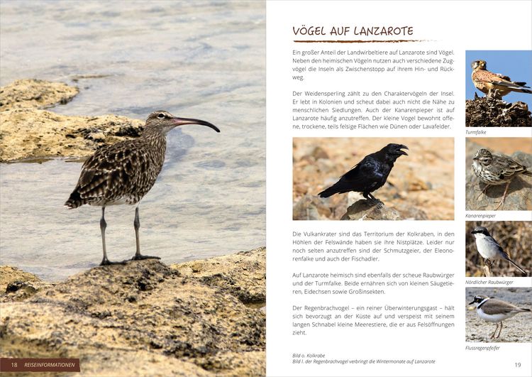 Produktbild: Wanderf&uuml;hrer Lanzarote &ndash; Reisezeit &ndash; GEQUO Verlag