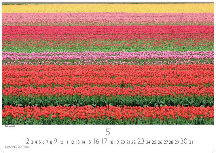 Produktbild: Niederlande Kalender 2027 &ndash; Wandkalender | Fotokalender Mitteleuropa 24x35cm - Entdecken Sie die sch&ouml;nsten Sehensw&uuml;rdigkeiten der Niederlande