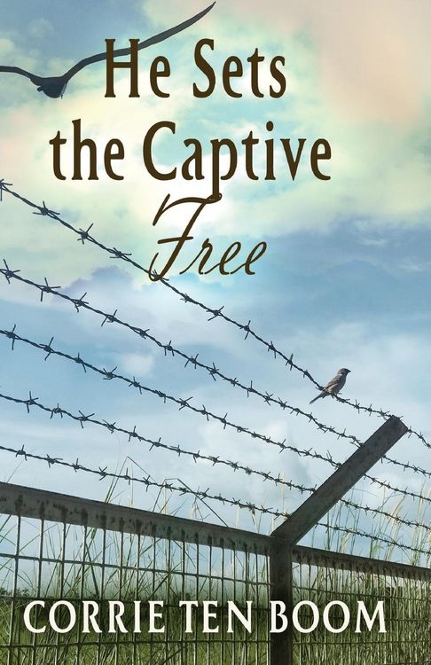 Produktbild: He Sets the Captive Free