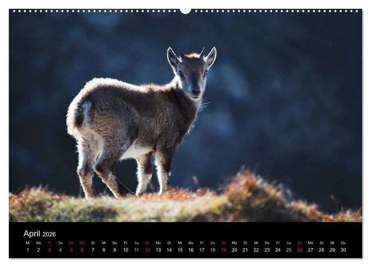 Produktbild: BERNER ALPEN - Natur und Landschaften (Wandkalender 2026 DIN A2 quer), CALVENDO Monatskalender