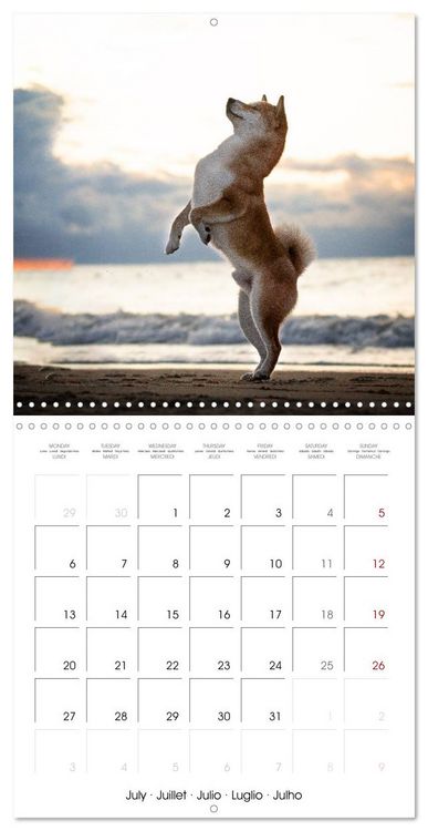 Produktbild: Little Samurais - The Shiba Inu (Wall Calendar 2026 12 &times; 12 Inch) CALVENDO 12 Month Wall Calendar