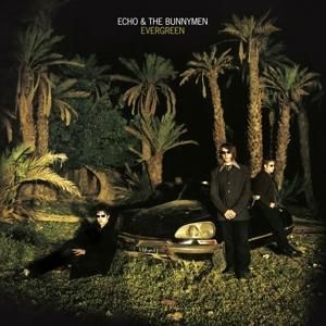 Produktbild: Evergreen (Standard Edition)