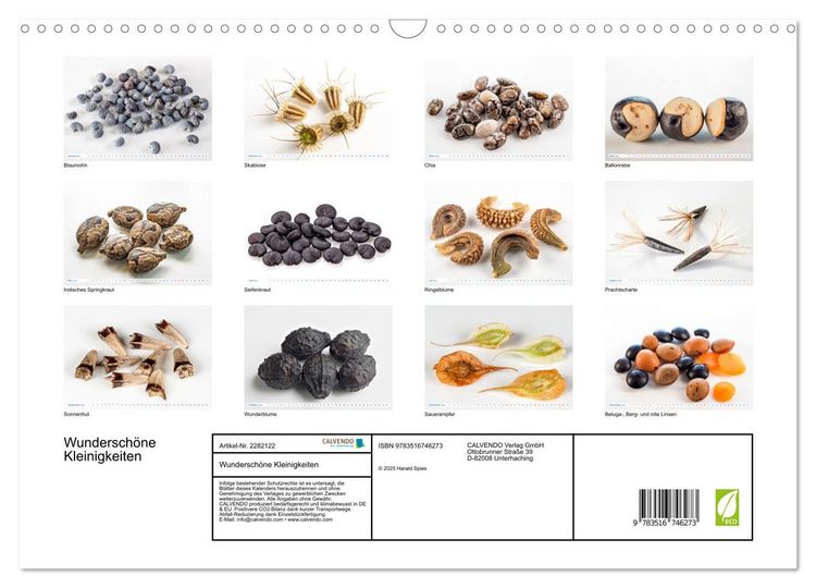 Produktbild: Wundersch&ouml;ne Kleinigkeiten (Wandkalender 2026 DIN A3 quer), CALVENDO Monatskalender