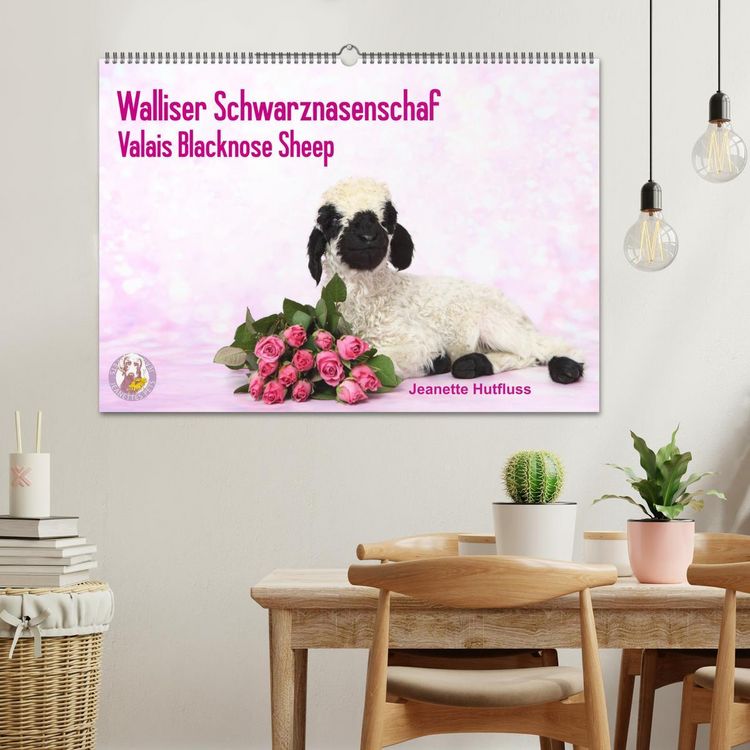 Produktbild: Walliser Schwarznasenschaf Valais Blacknose Sheep (Wandkalender 2026 DIN A2 quer), CALVENDO Monatskalender