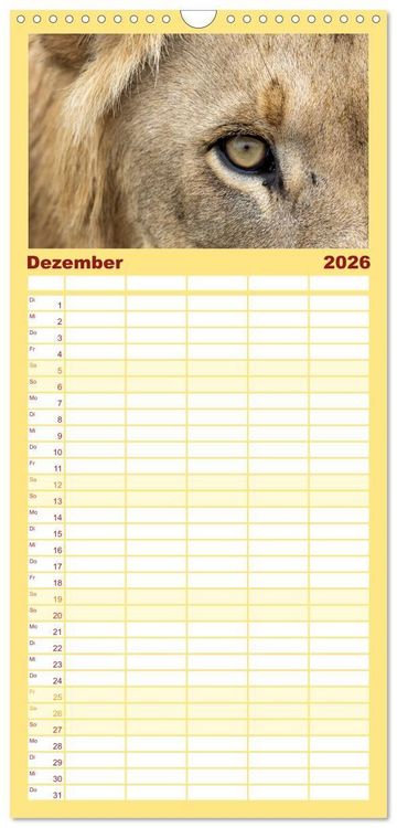 Produktbild: Familienplaner 2026 - Komm mit auf Safari! Botswana und S&uuml;dafrika mit 5 Spalten (Wandkalender, 21 x 45 cm) CALVENDO