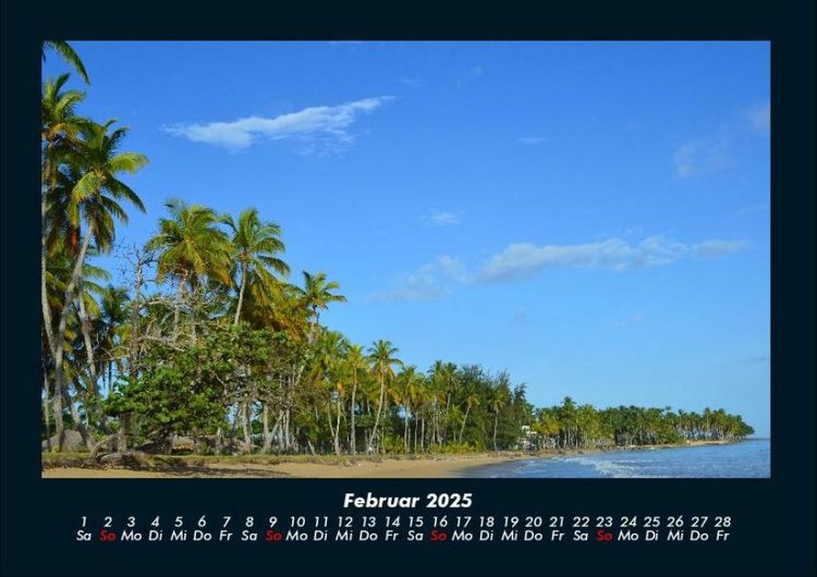 Produktbild: Palmentraum 2025 Fotokalender DIN A4