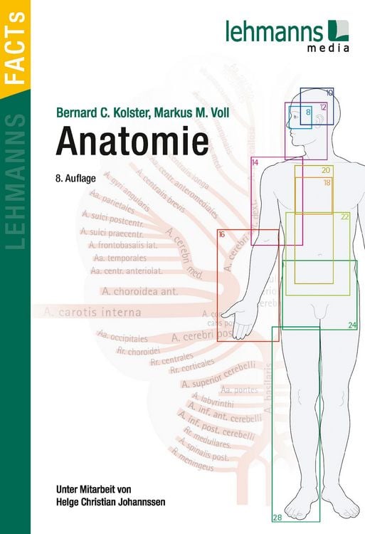 Produktbild: Anatomie