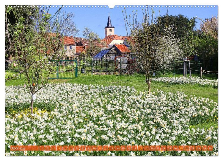 Produktbild: Brandenburg - Sch&ouml;ne Orte im Landkreis Potsdam-Mittelmark (hochwertiger Premium Wandkalender 2026 DIN A2 quer), Kunstdruck in Hochglanz