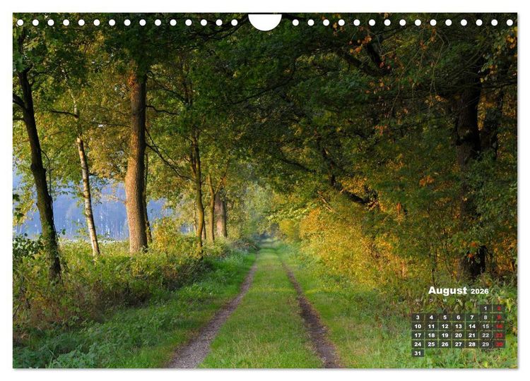 Produktbild: Die Dingdener Heide im Wandel der Jahreszeiten (Wandkalender 2026 DIN A4 quer), CALVENDO Monatskalender