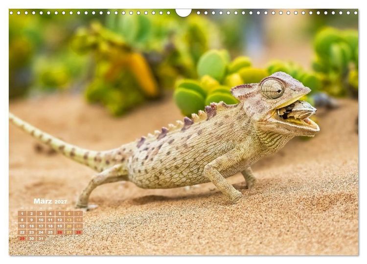 Produktbild: Cham&auml;leon: Die farbenfrohe Welt der Reptilien (Wandkalender 2027 DIN A3 quer), CALVENDO Monatskalender