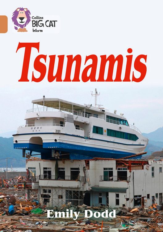 Produktbild: Tsunamis